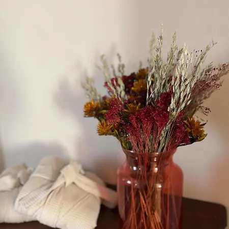 Apartment Casa Rosalinda, Monferrato Cozy *