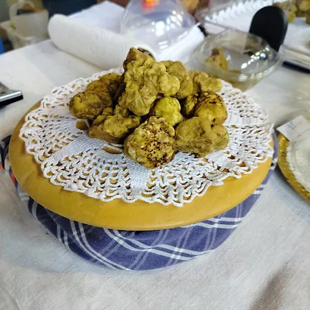 Casa Rosalinda, Monferrato Cozy Appartamento Camino