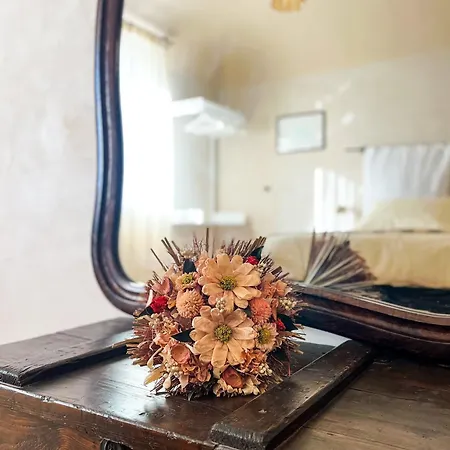 Casa Rosalinda, Monferrato Cozy *
