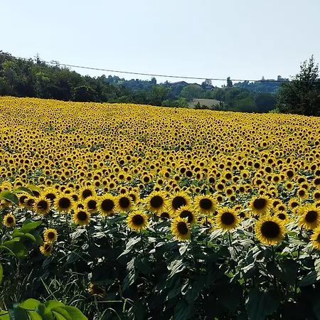 Casa Rosalinda, Monferrato Cozy * Camino